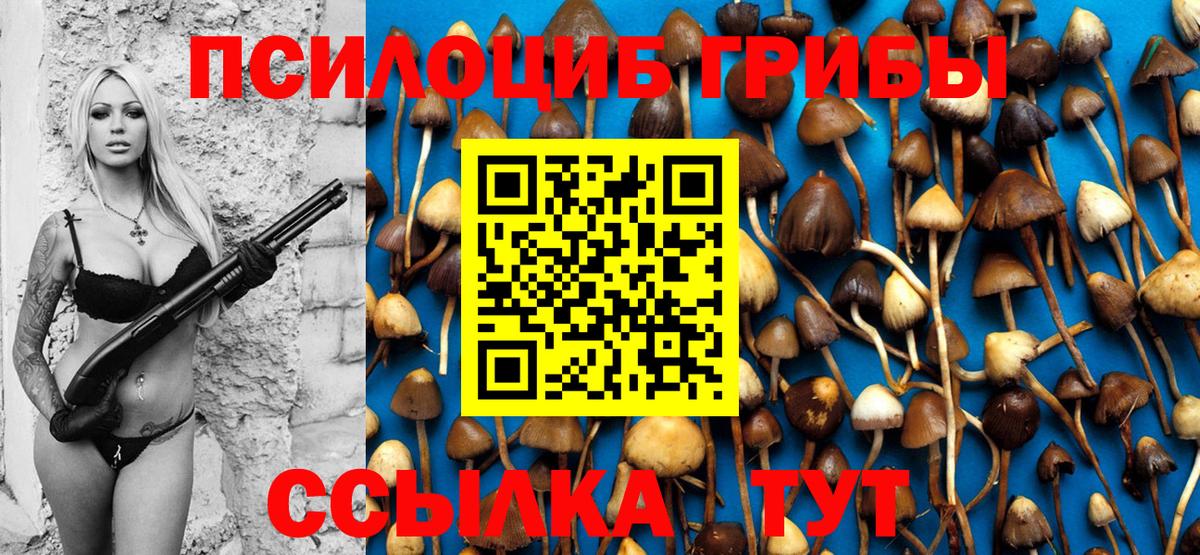 Псилоцибиновые грибы мицелий Наро-Фоминск